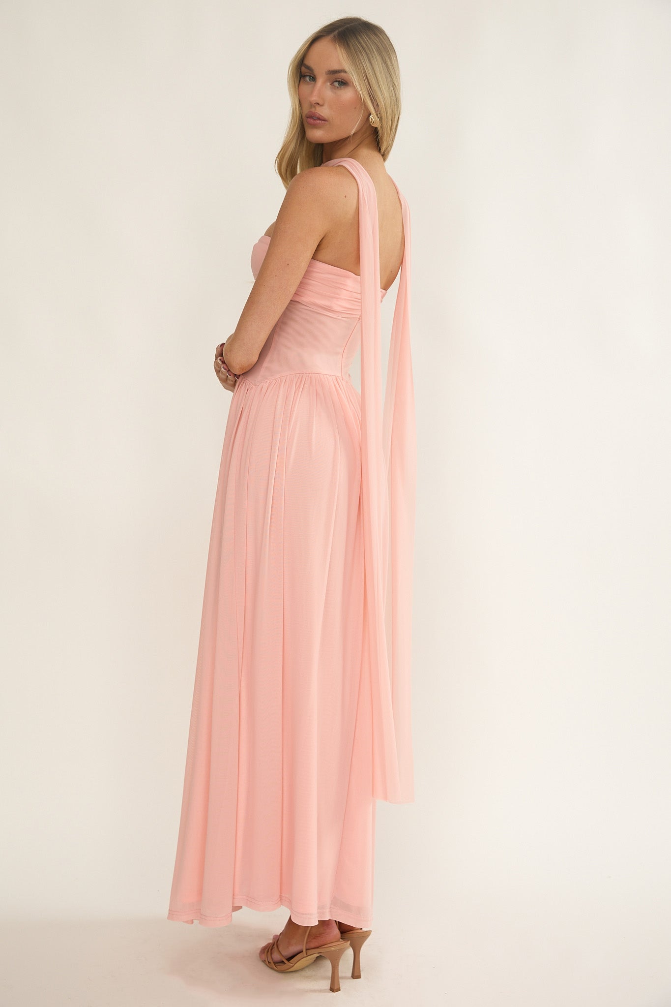Annita Sheer Waist Maxi Dress Blush