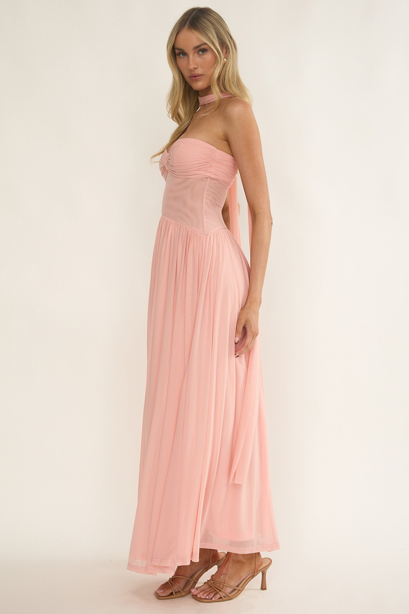 Annita Sheer Waist Maxi Dress Blush